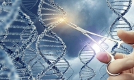 哈佛科学家采用基因编辑技术 让癌细胞“大义灭亲”：先杀肿瘤再自杀！
